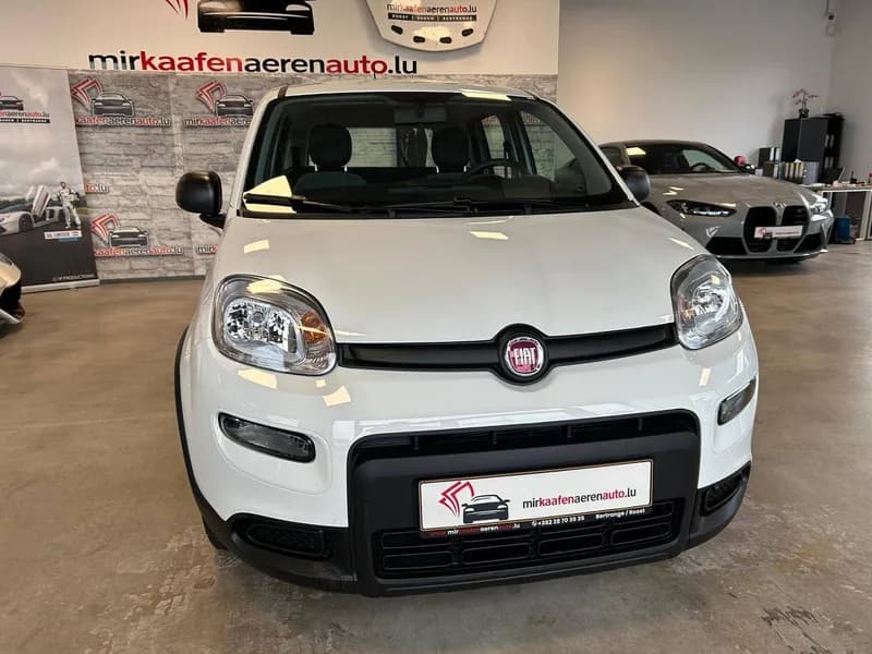 Fiat verkaufen in Luxemburg - MKAA Autoankauf