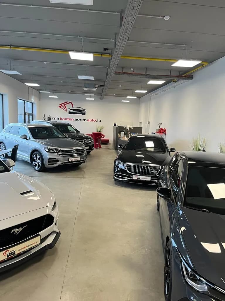 Ford Fahrzeug 4 - MKAA Autoankauf Luxemburg